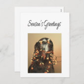 シーズンのドイツの挨拶の短いポインタ シーズンポストカード (正面/裏面)