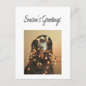 シーズンのドイツの挨拶の短いポインタ シーズンポストカード (正面)