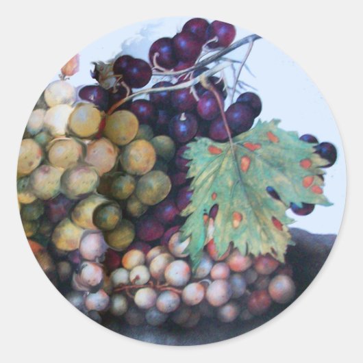 シーズンのフルーツ1 ラウンドシール (正面)