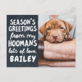 シーズンのペットおもしろいのモダン写真カスタム シーズンポストカード (正面)