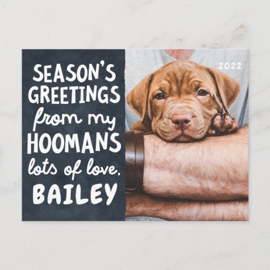 シーズンのペットおもしろいのモダン写真カスタム シーズンポストカード (正面)