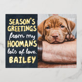 シーズンのペットおもしろいのモダン写真カスタム 箔シーズンポストカード (正面)