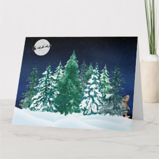 シーズンの信憑性 カード