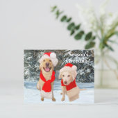 シーズンの挨拶! シーズンポストカード (スタンド正面)