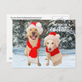 シーズンの挨拶! シーズンポストカード (正面/裏面)