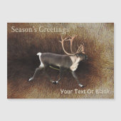 シーズンの挨拶 – Bull Caribou （トナカイ） (正面)