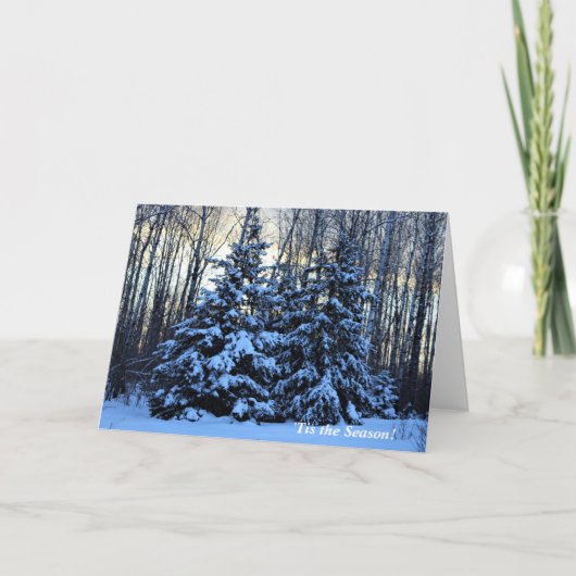 シーズンアップノースウィンターホリデー カード (正面)