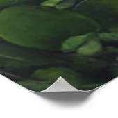 シーズンアボカド2011 ポスター (角)