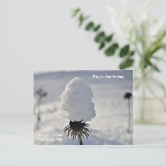 シーズンウィンターガーデンアップノースホリデイ ポストカード (スタンド正面)