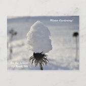 シーズンウィンターガーデンアップノースホリデイ ポストカード (正面)