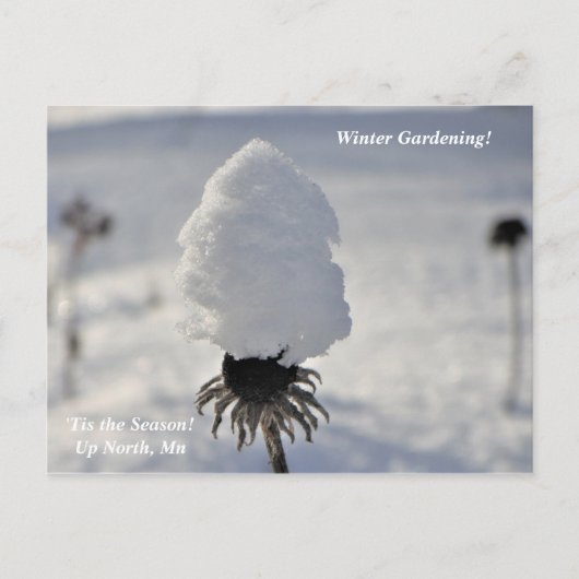 シーズンウィンターガーデンアップノースホリデイ ポストカード (正面)