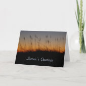 シーズングリーティングシーオーツと夕日の丘 シーズンカード (正面)