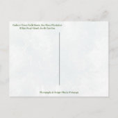 シーズングリーティングスfromヒルトンヘッドSCハーバータウン ポストカード (裏面)