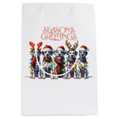 シーズングリーティング ミディアムペーパーバッグ (正面)