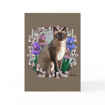 シーズンズキャッツ春ガーデン