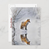 シーズンズグリーティングキツネと雪のクリスマス シーズンポストカード (正面/裏面)