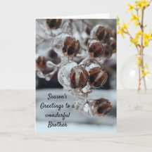 シーズンズグリーティングブラザー