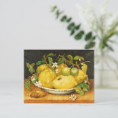 シーズンズフルーツのレモンと白い花 ポストカード (スタンド正面)