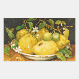 シーズンズフルーツのレモンと白い花 長方形シール