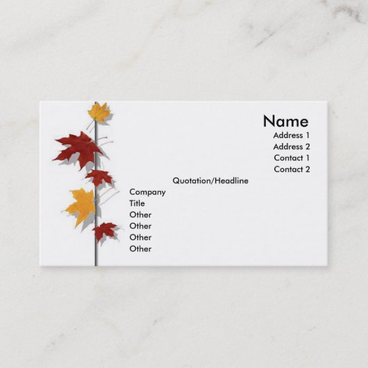 シーズンプロファイルカード 名刺 (正面)