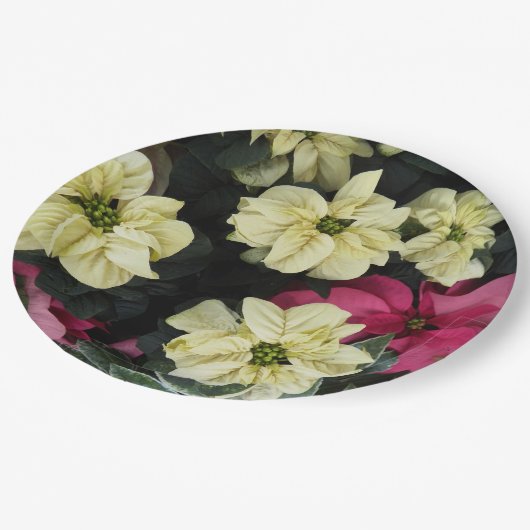 シーズンホリデーズポインセティアスフローラ ペーパープレート (アングル)