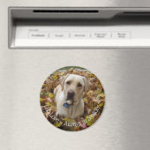 シーズンマグネットで常に愛するラボ マグネット (インサイチュ (食洗機))