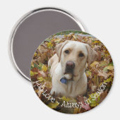 シーズンマグネットで常に愛するラボ マグネット (正面/裏面)