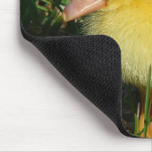 シーズン初のスコービー マウスパッド (コーナー)