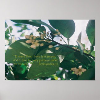 シーズン聖なる書物、 経典 ポスター