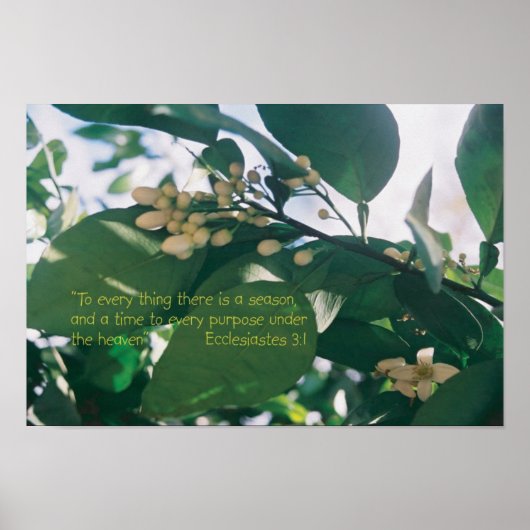 シーズン聖なる書物、 経典 ポスター (正面)