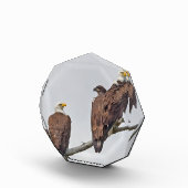 シーズン12 E23およびファミリーフォトブロック フォトブロック (右)