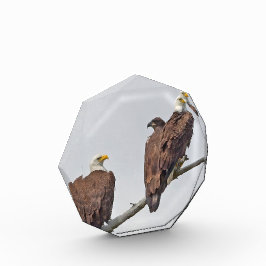 シーズン12 E23およびファミリーフォトブロック フォトブロック