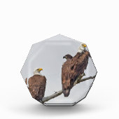 シーズン12 E23およびファミリーフォトブロック フォトブロック (正面)