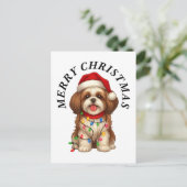 シーズー犬 クリスマス サンタ帽子 (スタンド正面)