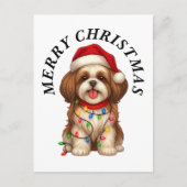 シーズー犬 クリスマス サンタ帽子 (正面)