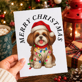 シーズー犬 クリスマス サンタ帽子