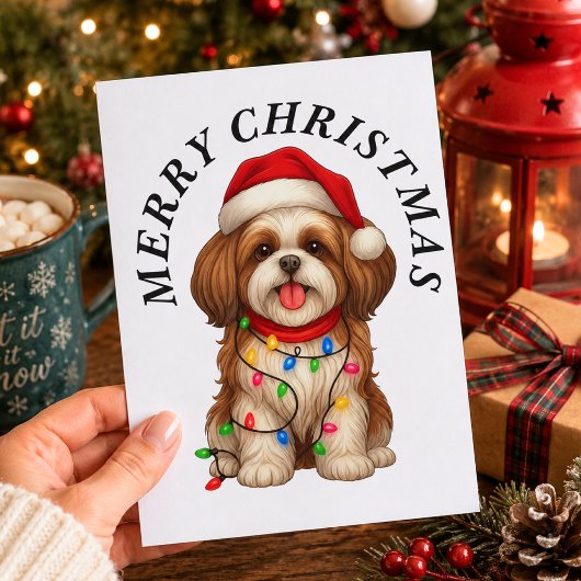 シーズー犬 クリスマス サンタ帽子