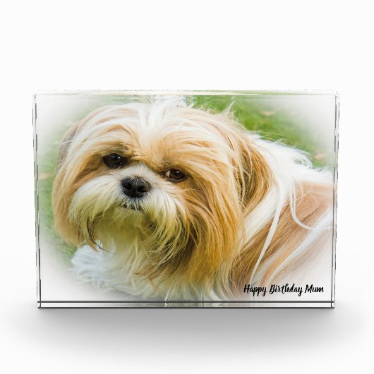 シーズー犬 フォトブロック (正面)
