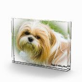 シーズー犬 フォトブロック (右)
