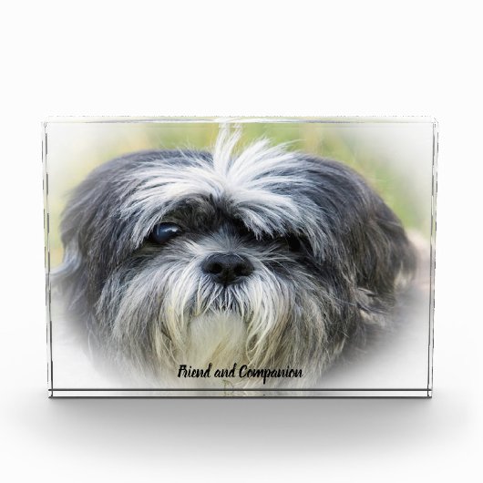 シーズー犬 フォトブロック (正面)
