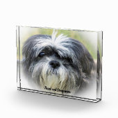 シーズー犬 フォトブロック (右)