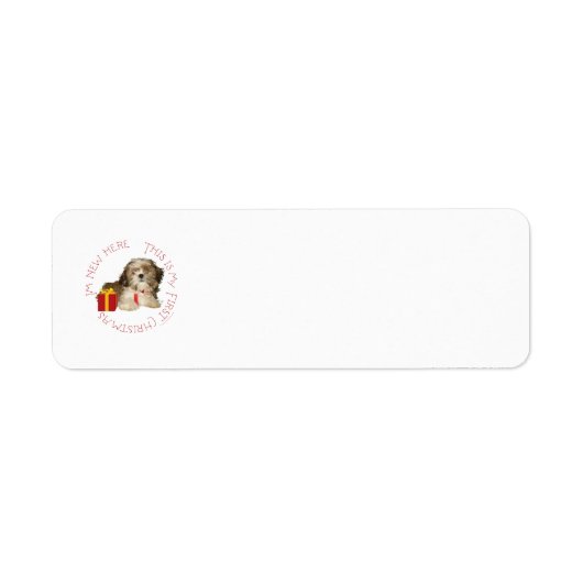 シーズー+パピー+ファースト+クリスマス ラベル (正面)