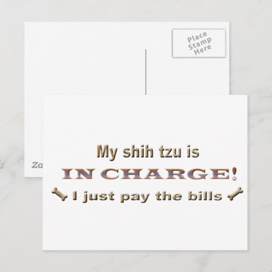 シーズー ポストカード (正面/裏面)