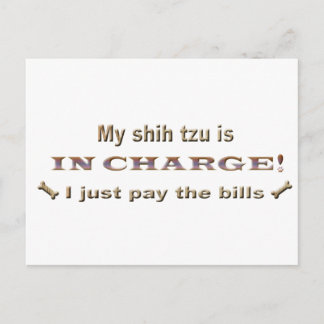 シーズー ポストカード