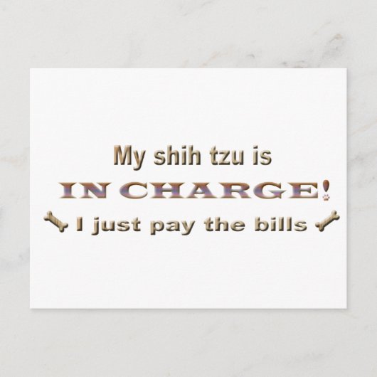 シーズー ポストカード (正面)