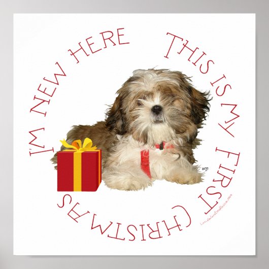 シーズー 子犬 初めてのクリスマス ポスター (正面)