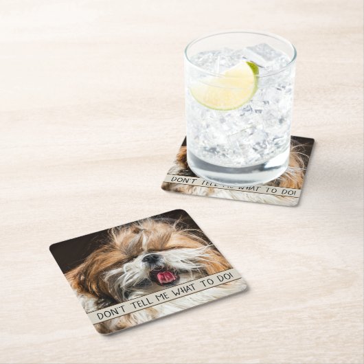 シーズー(犬)のおもしろい舌を私に何をすべきか教えてはいけない スクエアペーパーコースター (インサイチュ)
