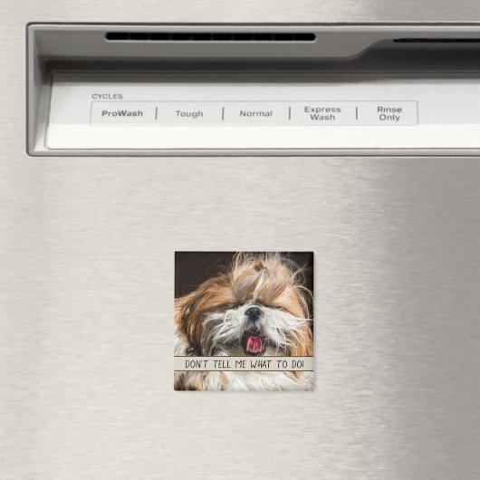 シーズー(犬)のおもしろい舌を私に何をすべきか教えてはいけない マグネット (インサイチュ (食洗機))