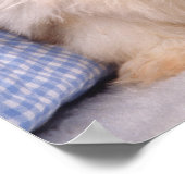 シーズー(犬)の子犬をチェック毛布の下で ポスター (角)