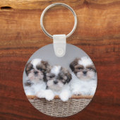 シーズー（犬）の子犬 キーホルダー (正面)